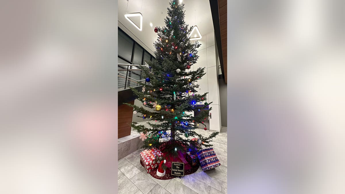Decorated LCSO tree