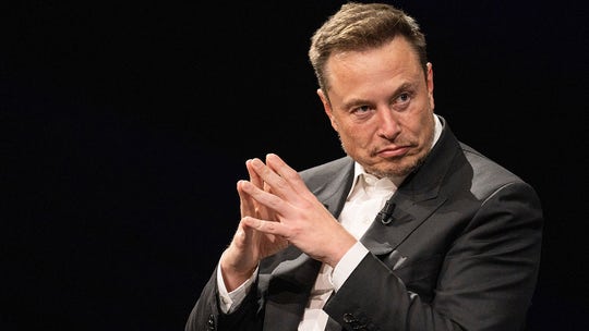 Elon Musk was warned that AI could destroy human colony on Mars: report