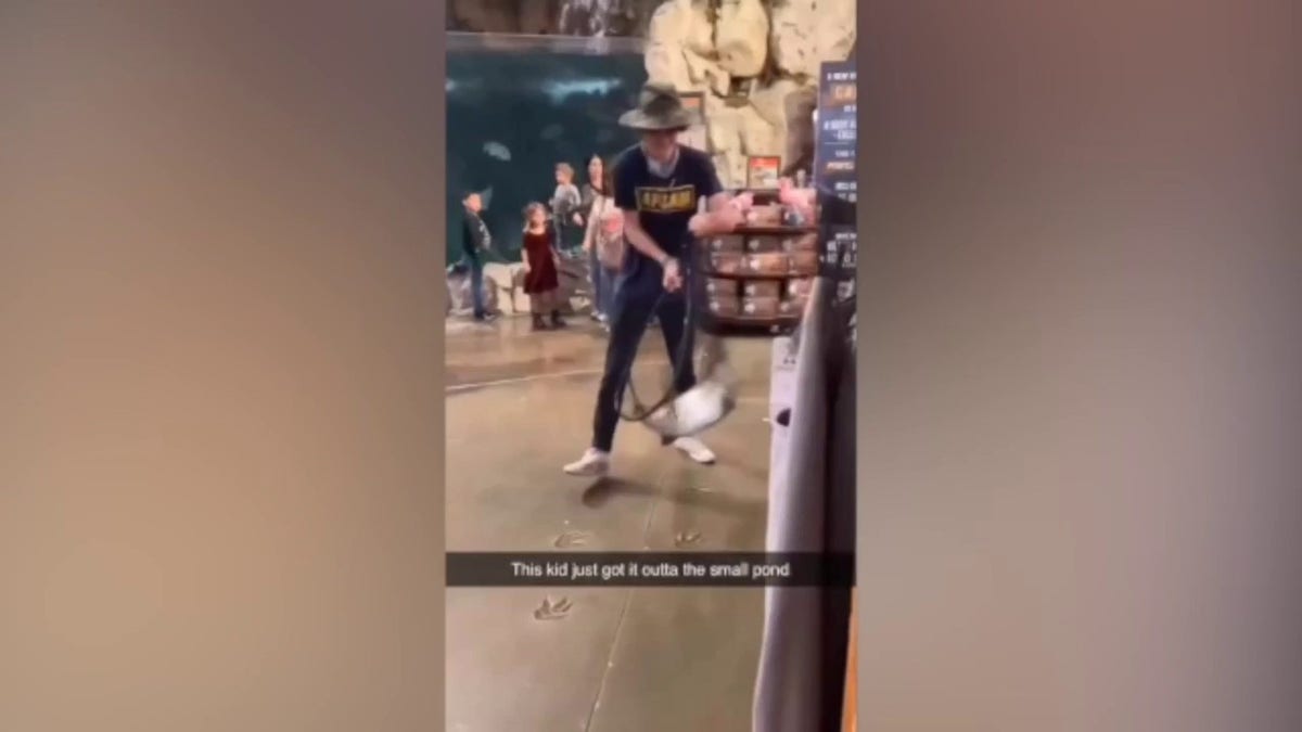 Suspect in Bass Pro Shop