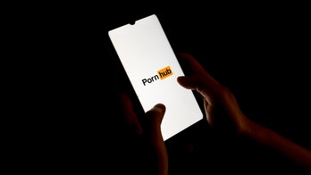 GOP lawmaker introduces bill requiring age verification technology for porn sites