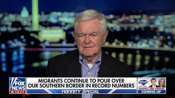 Newt Gingrich: This is crippling the rule of law