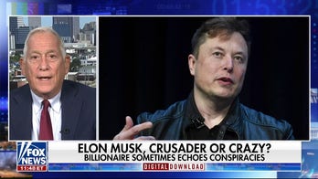 Elon Musk: Crusader or crazy?