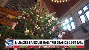 Inside the Biltmore Mansion at Christmas