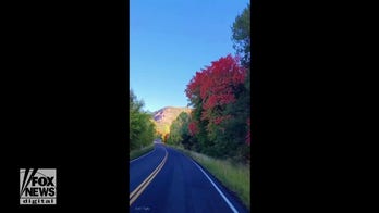 Color me fall! Drone footage captures stunning fall foliage